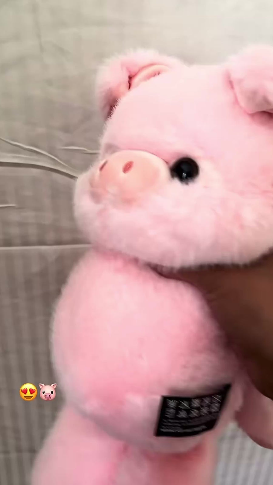 Hugz Addict TikTok