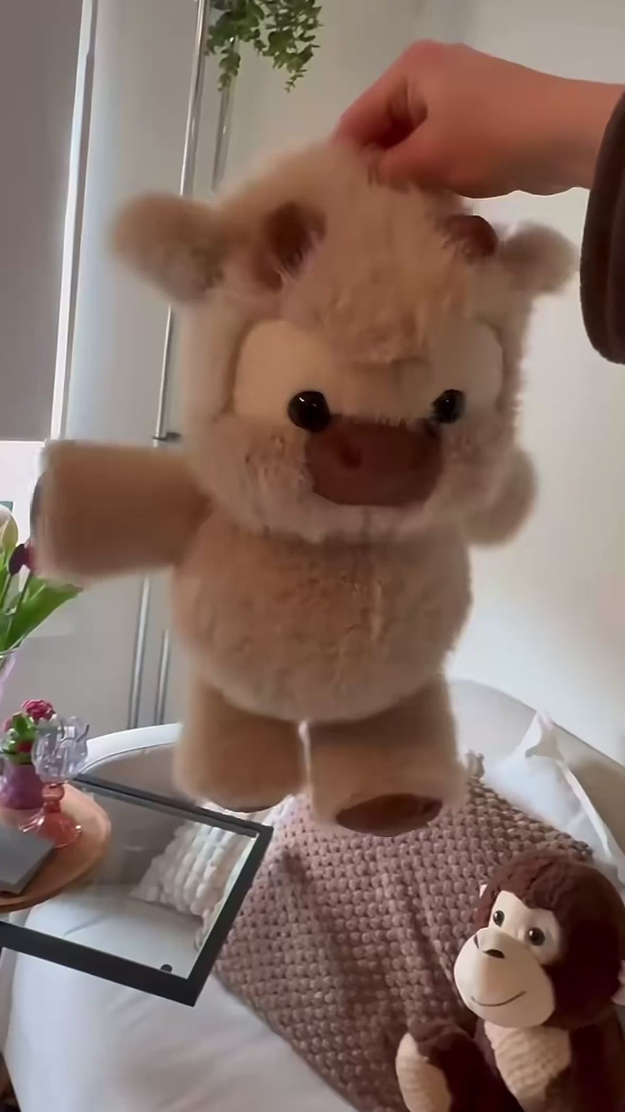 Hugz Addict TikTok